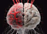 create scientific and medical illustrations