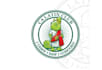 create a creative chameleon logo design
