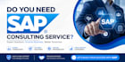 be your sap fico consultant and project manager
