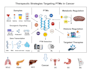 design a scientific graphical abstract in biorender