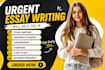 write professional summary, reports and case studies for you