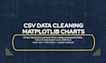 do python  data cleaning and matplotlib  visualization