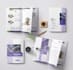 catalog design and layout