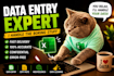 be your virtual assistant for data entry and web research, copy paste tasks