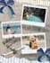 design trendy instagram post in canva
