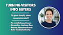 fix shopify store conversion rate and do store audit