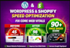increase shopify store speed, website page speed optimization fast on all device