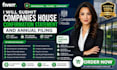 submit companies house confirmation statement and annual filing