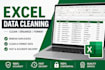 clean, format and organize excel or CSV data professionally