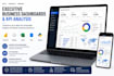 create executive business dashboards and KPI analysis