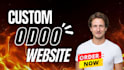 be odoo expert developer, odoo ecommerce, odoo customization for api integration