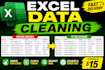 clean, format, and organize your excel data
