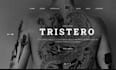 build squarespace wellness website tattoo artist website piercing studio website