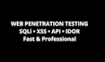 do API security testing and vulnerability assessment