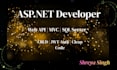 build asp dot net mvc web app with admin panel and crud operations