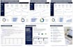 create professional tableau dashboards and KPI reports