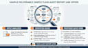 conduct your business flash audit