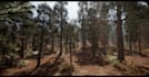 create a stunning 3d game environment and level design in unreal engine 5