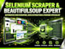 do python web scraping data extraction selenium scraper beautifulsoup automation