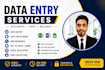 handle excel data entry, copy paste, and web research