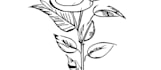 design creative full body tattoo concept