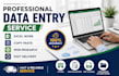 beginner data entry services