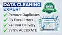 a professional data cleaner in just 24 hours
