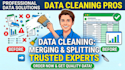 clean, format, merge, split excel data