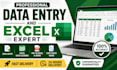 do professional data entry and microsoft excel tasks
