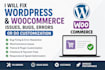 fix wordpress, woocommerce issues, bugs and errors or do customization