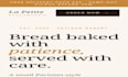 expert in web development