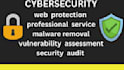 provide professional cybersecurity audit and web security