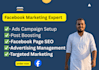 facebook ads campaign wiht post boosting and advertising