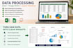 clean and process and analyze data professionally