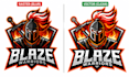 do manual vector tracing, logo to vector and raster to vector