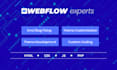fix webflow bugs in your webflow website as webflow expert