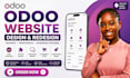 professional odoo developer odoo website design setup module erp implementation