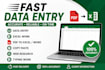 do fast and accurate data entry , typing and excel work