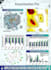 perform molecular docking with autodock vina
