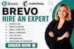 setup brevo automation, email marketing and campaign