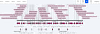 do phage genome analysis and phage genome annotation