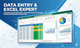 do data entry and data cleaning in excel and google sheets