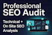 do professional website SEO audit and technical analysis