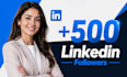 promote 500 linkedin followers manually