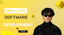 software developer, develop ai web application, crm, erp, lms, booking, saas