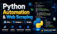build a python automation script or web scraper for your business