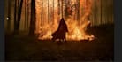 do cinematic vfx, fire explosion, smoke and dust effect, gun shot, vfx compo fx