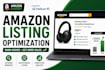 audit and optimize your amazon listing for higher ranking