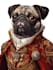 do custom pet portrait, dog portrait, cat portrait