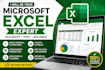 do advanced excel tasks and automation